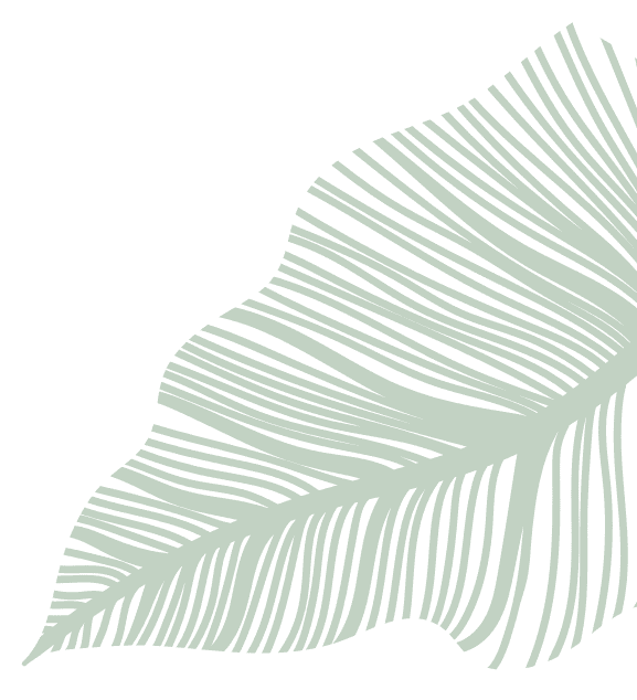 Illustration of a green palm or fern frond
