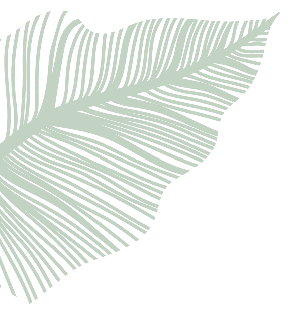 Decorative illustration of a palm frond