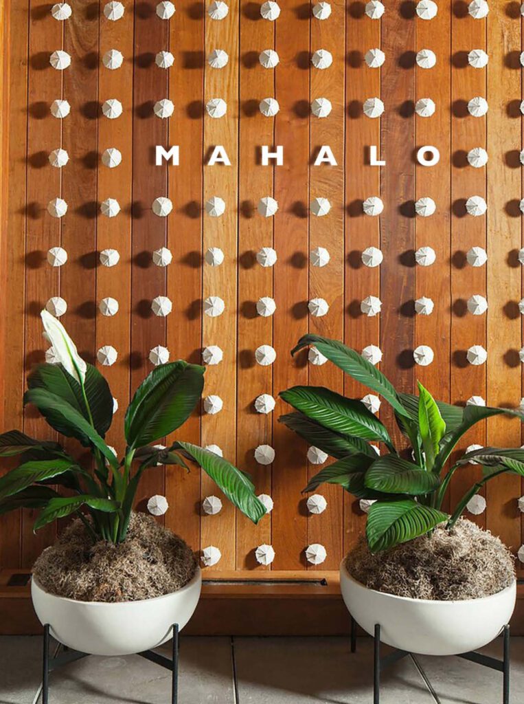 Wooden wall behind two plants with "Mahalo" written out