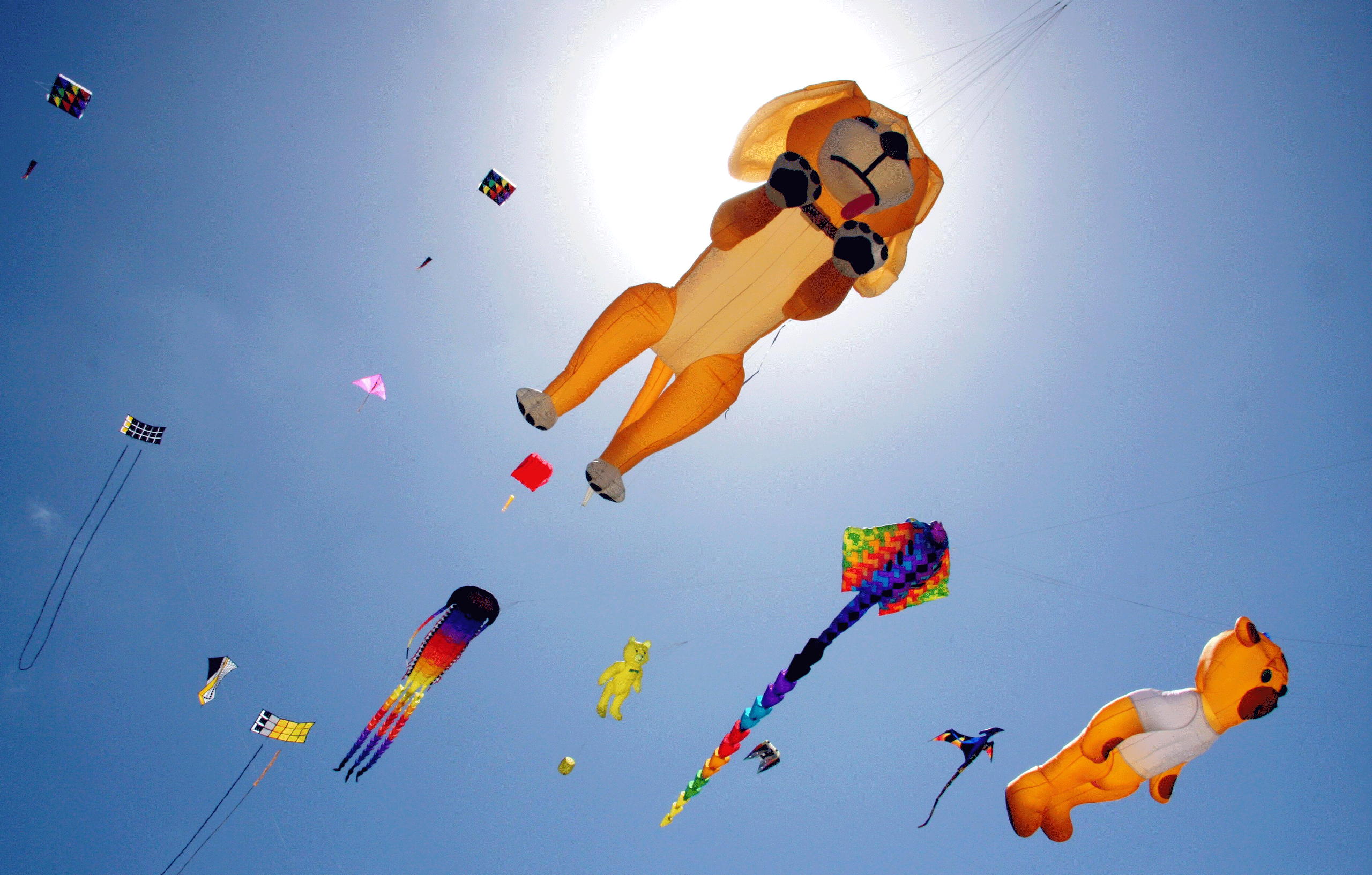 Several kites flying in the sky