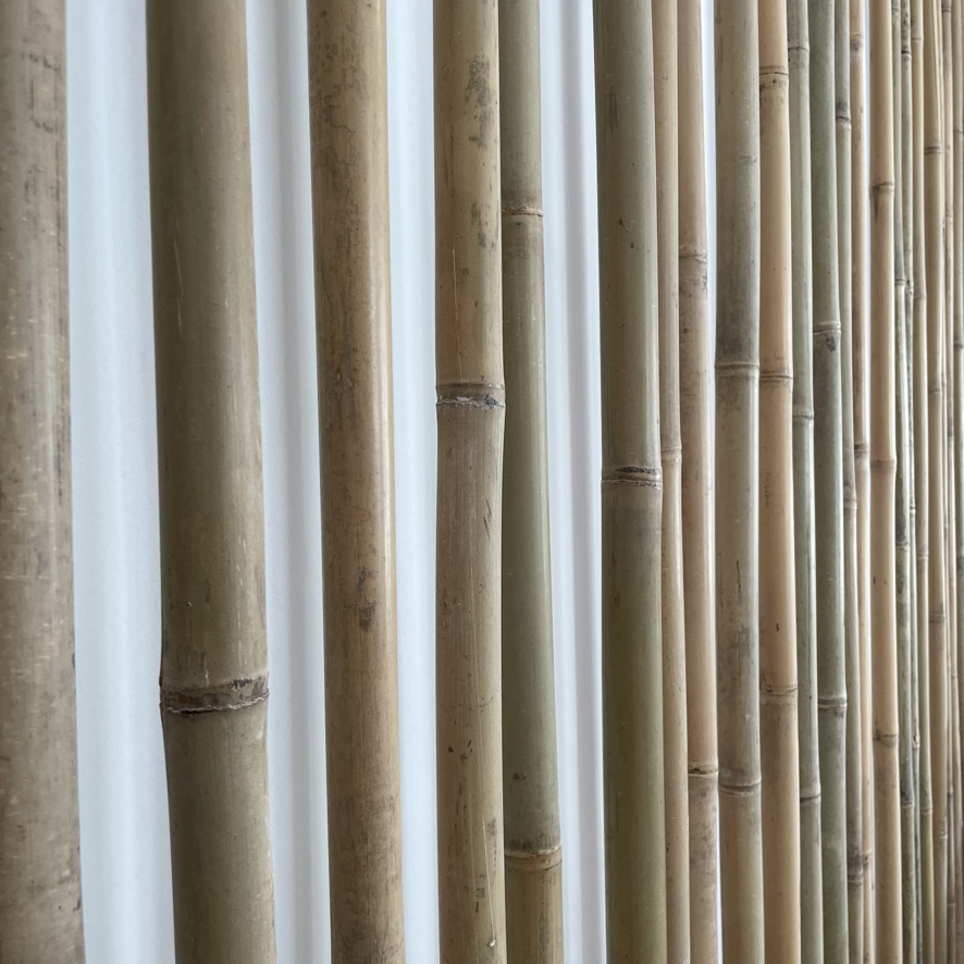 Bamboo siding at our Wildwood Crest hotel