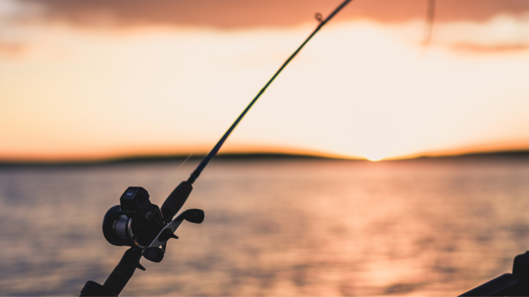 Fishing pole in Cape May