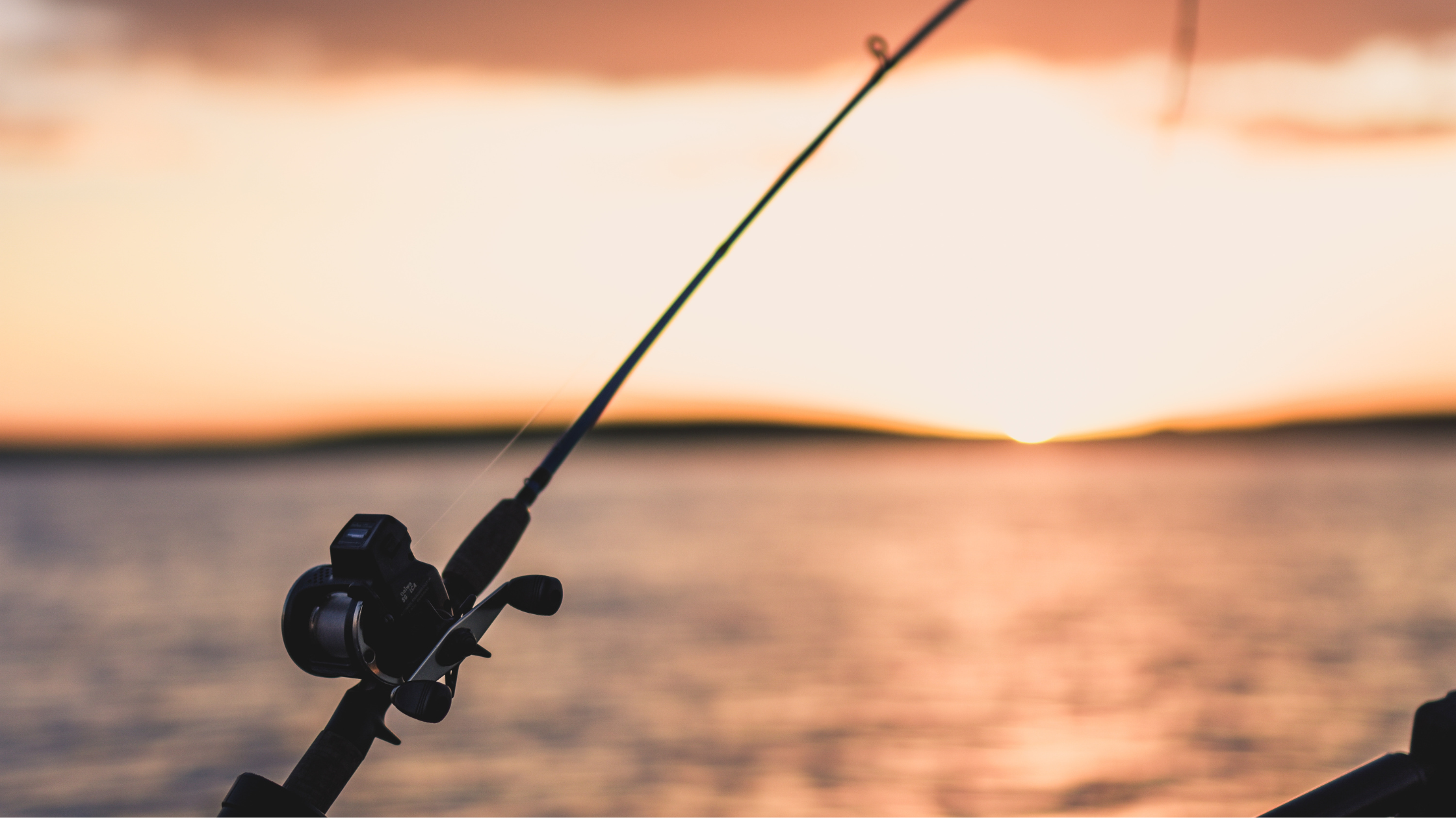 Fishing pole in Cape May