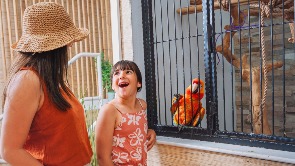 Family visiting Maui the Macaw at Mahalo Diamond Beach